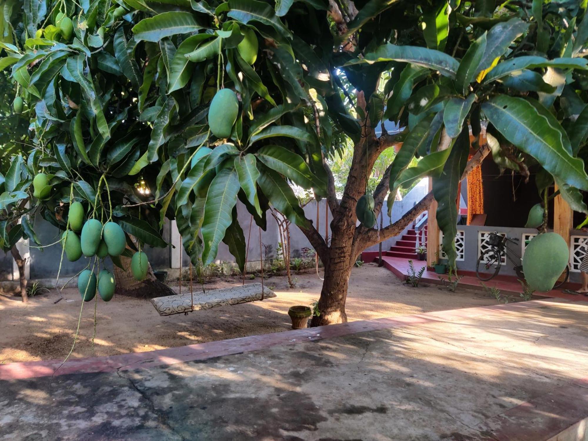 Enoch Guest House Mannar Exterior photo