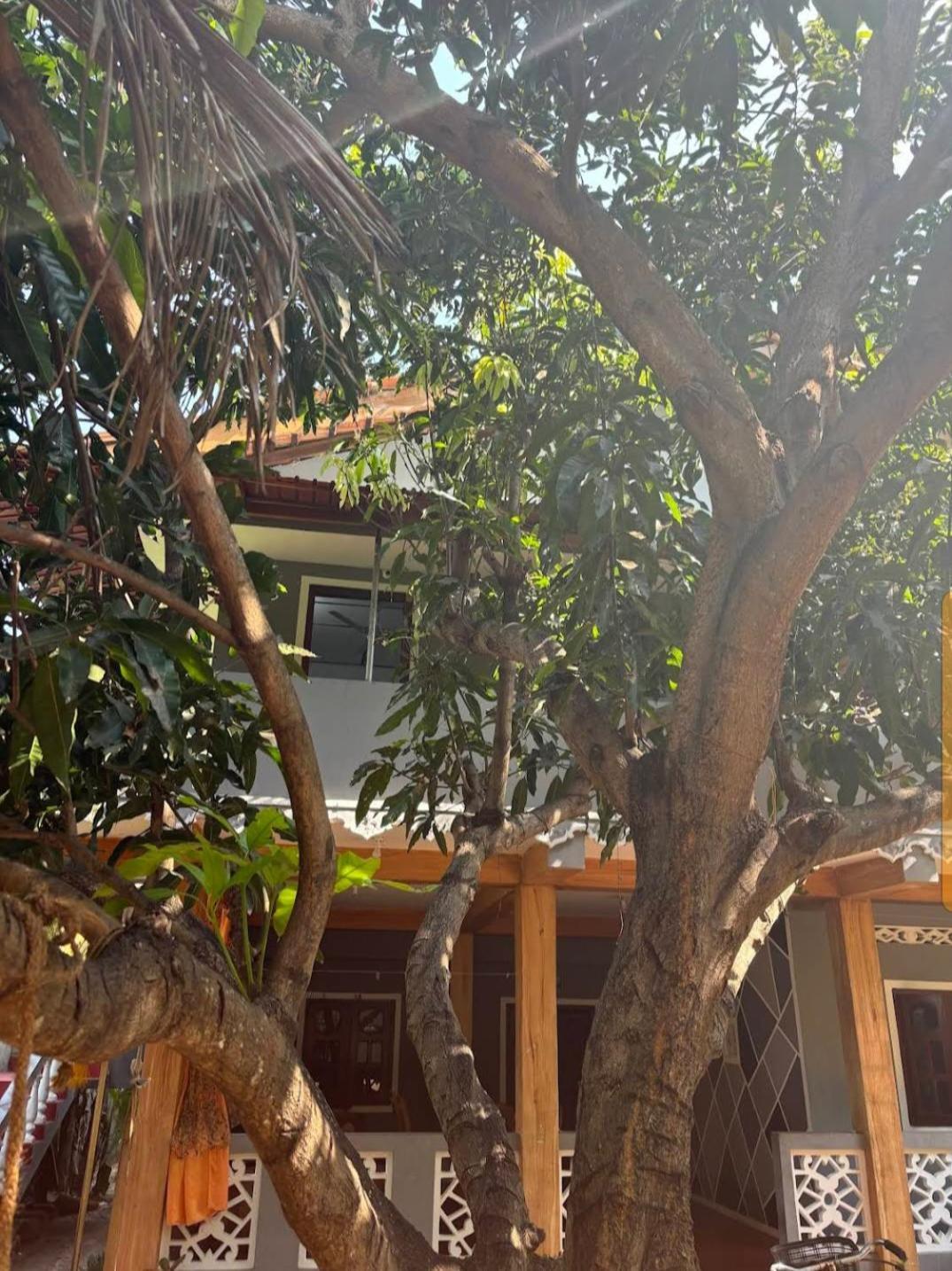 Enoch Guest House Mannar Exterior photo